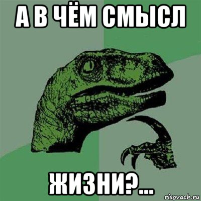 а в чём смысл жизни?...
