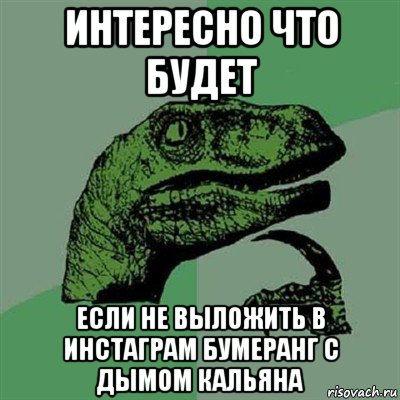 интересно что будет если не выложить в инстаграм бумеранг с дымом кальяна, Мем Филосораптор