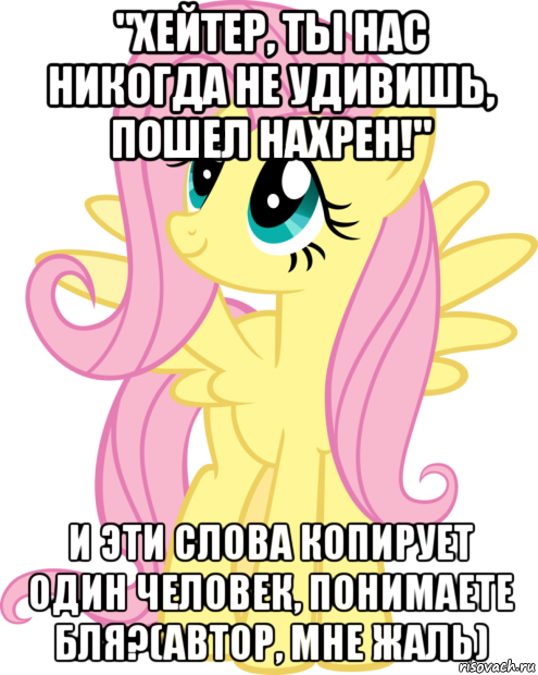 "хейтер, ты нас никогда не удивишь, пошел нахрен!" и эти слова копирует один человек, понимаете бля?(автор, мне жаль)