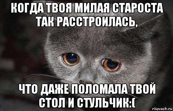 когда твоя милая староста так расстроилась, что даже поломала твой стол и стульчик:(, Мем  Грустный кот