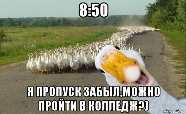 8:50 я пропуск забыл,можно пройти в колледж?)