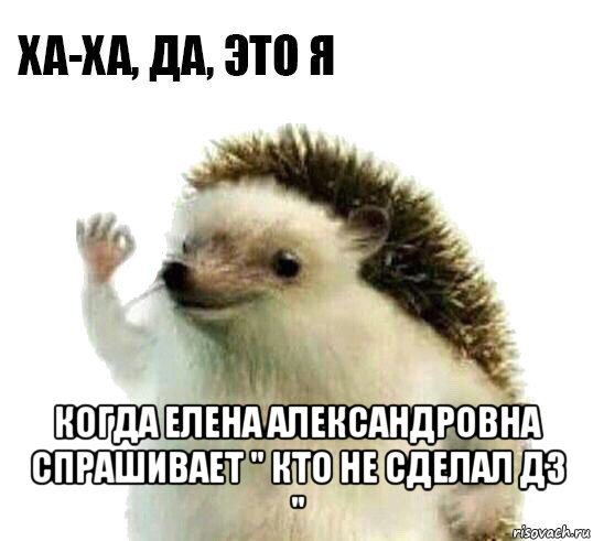  когда елена александровна спрашивает " кто не сделал дз ", Мем Ха-ха да это я