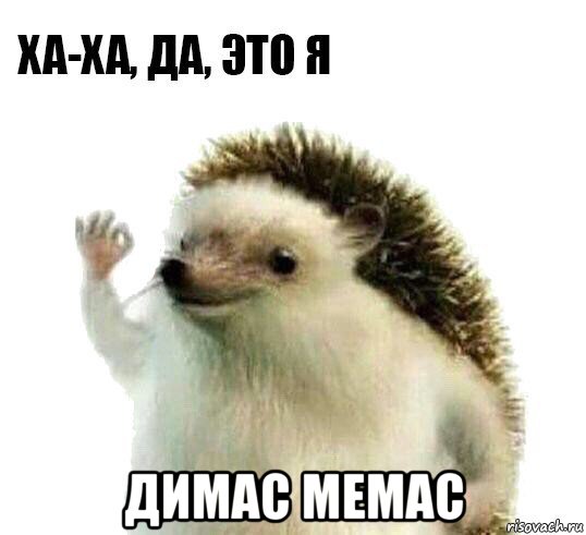  димас мемас, Мем Ха-ха да это я