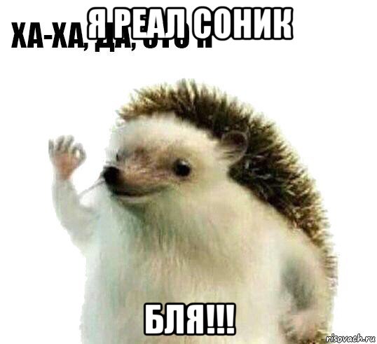 я реал соник бля!!!