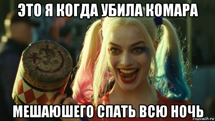 это я когда убила комара мешаюшего спать всю ночь, Мем    Harley quinn