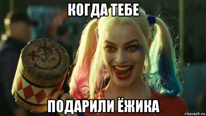 когда тебе подарили ёжика, Мем    Harley quinn