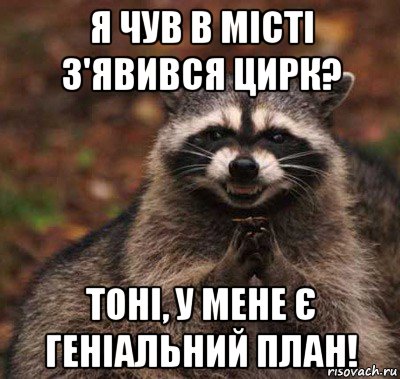 я чув в місті з'явився цирк? тоні, у мене є геніальний план!, Мем  Хитрый енот