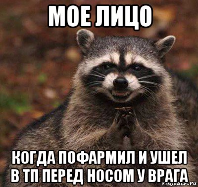 мое лицо когда пофармил и ушел в тп перед носом у врага, Мем  Хитрый енот