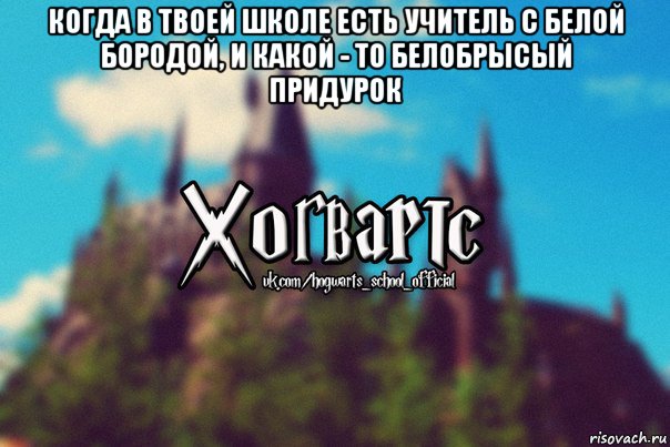 когда в твоей школе есть учитель с белой бородой, и какой - то белобрысый придурок , Мем Хогвартс