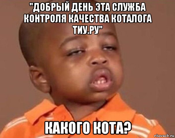 "добрый день эта служба контроля качества коталога тиу.ру" какого кота?, Мем  Какой пацан (негритенок)