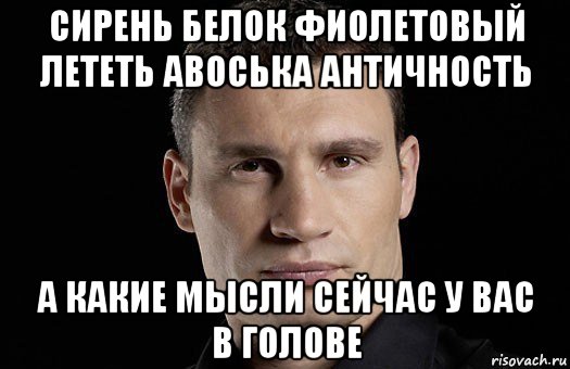 сирень белок фиолетовый лететь авоська античность а какие мысли сейчас у вас в голове, Мем Кличко