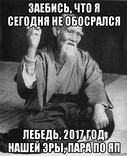 заебись, что я сегодня не обосрался лебедь, 2017 год нашей эры, пара по яп