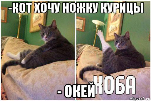 -кот хочу ножку курицы - окей, Комикс Кот Хоба