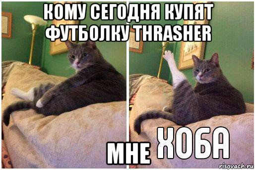 кому сегодня купят футболку thrasher мне, Комикс Кот Хоба