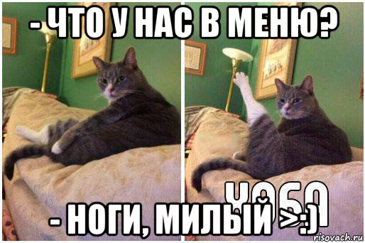 - что у нас в меню? - ноги, милый >:), Комикс Кот Хоба