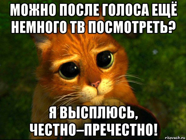 можно после голоса ещё немного тв посмотреть? я высплюсь, честно–пречестно!, Мем кот из шрека