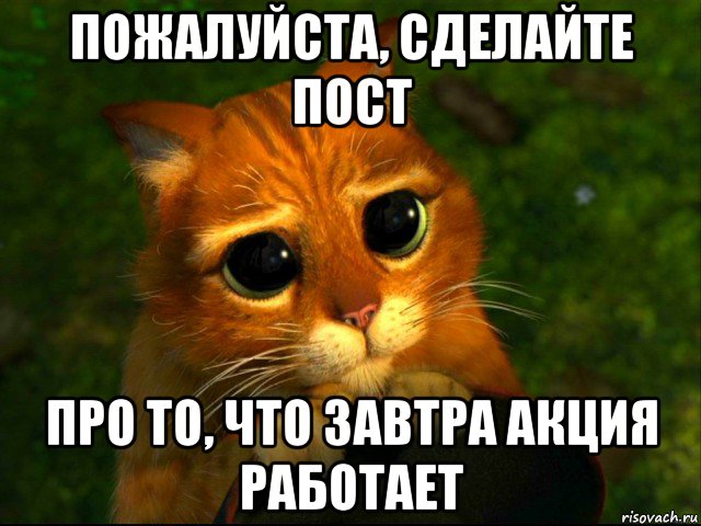 пожалуйста, сделайте пост про то, что завтра акция работает, Мем кот из шрека