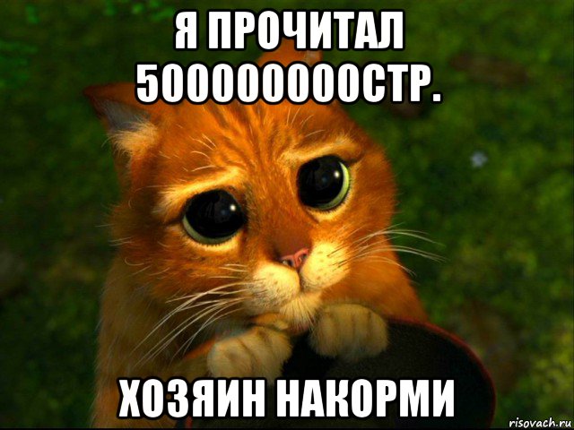 я прочитал 500000000стр. хозяин накорми, Мем кот из шрека