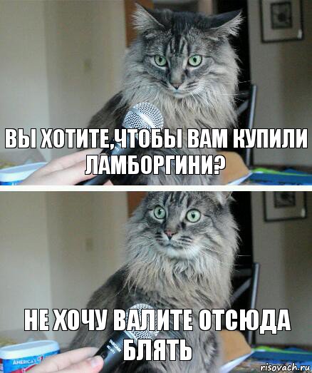 вы хотите,чтобы вам купили ламборгини? НЕ ХОЧУ ВАЛИТЕ ОТСЮДА БЛЯТЬ, Комикс  кот с микрофоном