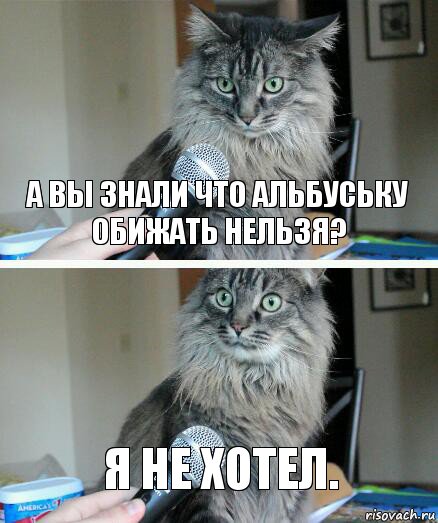 А вы знали что Альбуську обижать нельзя? я не хотел., Комикс  кот с микрофоном