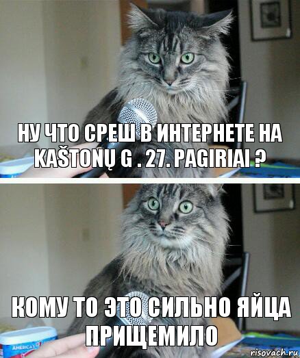 ну что среш в интернете на Kaštonų g . 27. pagiriai ? кому то это сильно яйца прищемило, Комикс  кот с микрофоном