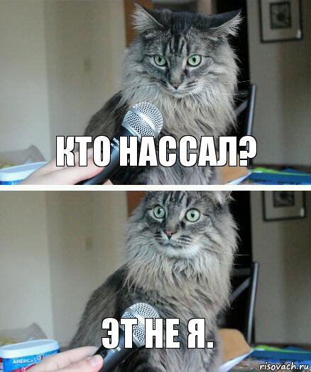 Кто нассал? Эт не я.