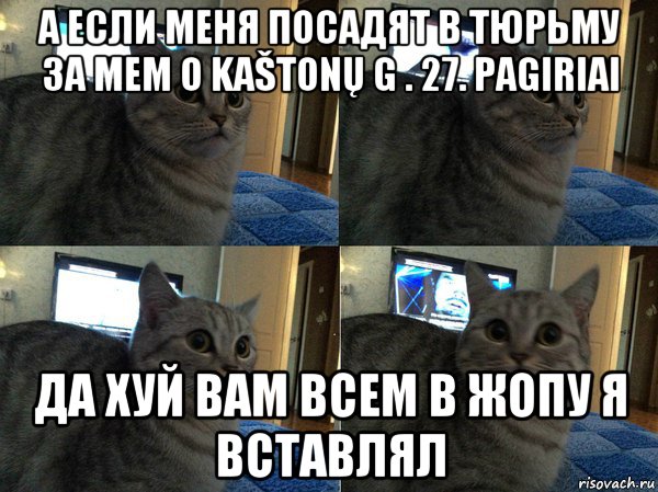 а если меня посадят в тюрьму за мем о kaštonų g . 27. pagiriai да хуй вам всем в жопу я вставлял, Мем  Кот в шоке