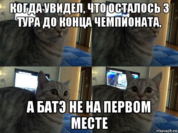 когда увидел, что осталось 3 тура до конца чемпионата, а батэ не на первом месте, Мем  Кот в шоке