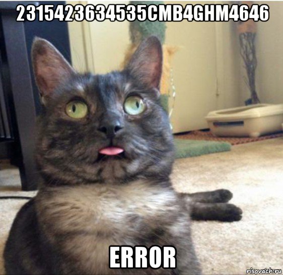 2315423634535сmb4ghm4646 error, Мем   Кот завис