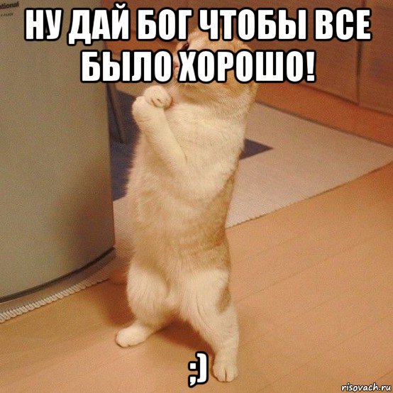 ну дай бог чтобы все было хорошо! ;), Мем  котэ молится