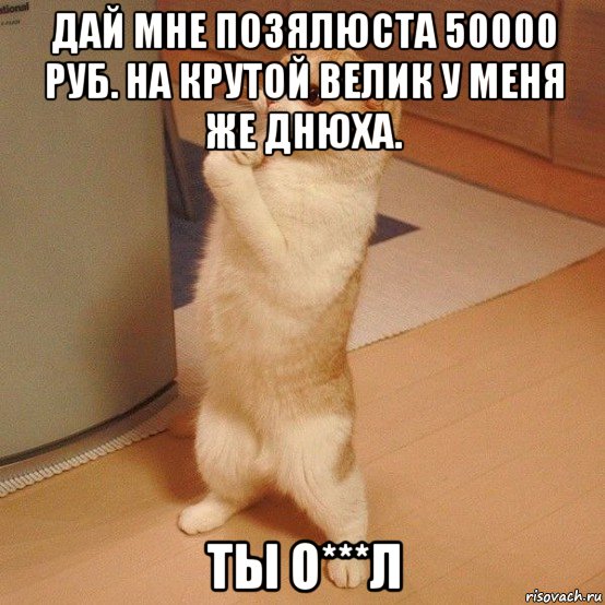 дай мне позялюста 50000 руб. на крутой велик у меня же днюха. ты о***л, Мем  котэ молится