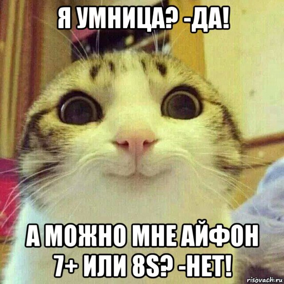 я умница? -да! а можно мне айфон 7+ или 8s? -нет!, Мем       Котяка-улыбака