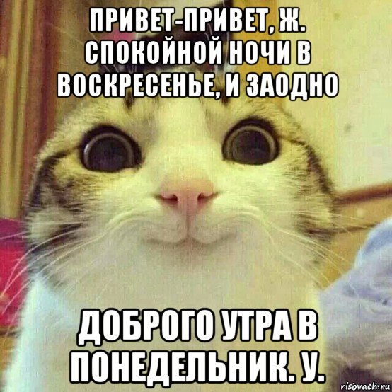 привет-привет, ж. спокойной ночи в воскресенье, и заодно доброго утра в понедельник. у., Мем       Котяка-улыбака