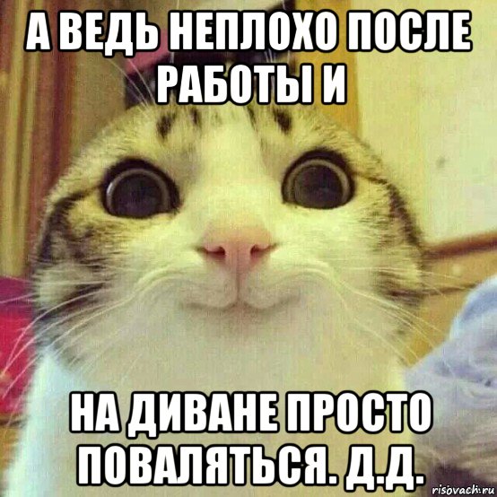 а ведь неплохо после работы и на диване просто поваляться. д.д., Мем       Котяка-улыбака