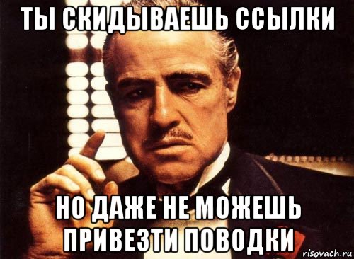 ты скидываешь ссылки но даже не можешь привезти поводки, Мем крестный отец