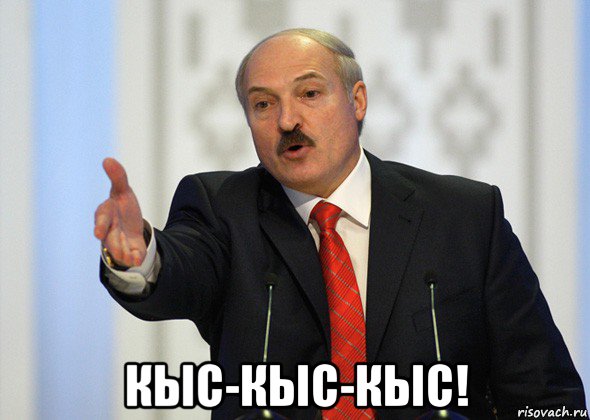  кыс-кыс-кыс!, Мем лукашенко