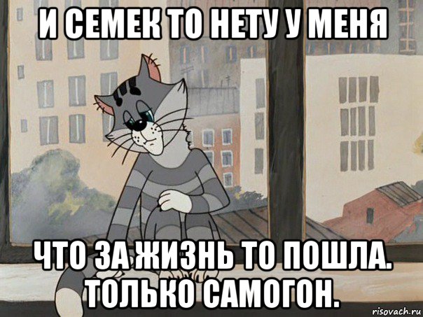 и семек то нету у меня что за жизнь то пошла. только самогон.