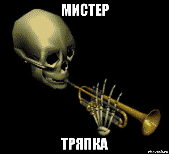 мистер тряпка