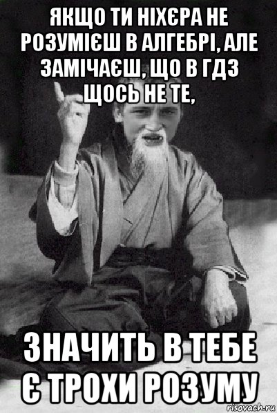 якщо ти ніхєра не розумієш в алгебрі, але замічаєш, що в гдз щось не те, значить в тебе є трохи розуму, Мем Мудрий паца