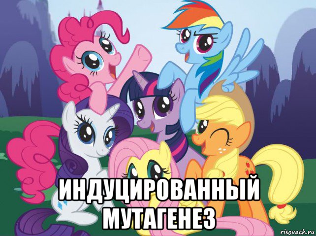  индуцированный мутагенез, Мем My little pony