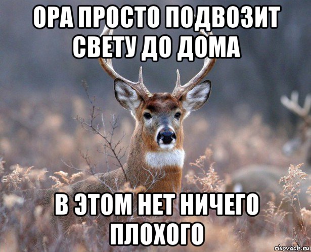 ора просто подвозит свету до дома в этом нет ничего плохого, Мем   Наивный олень