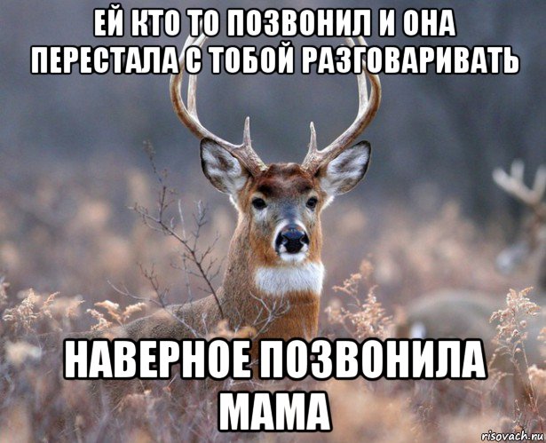 ей кто то позвонил и она перестала с тобой разговаривать наверное позвонила мама, Мем   Наивный олень