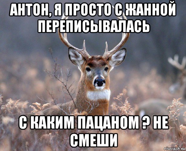 антон, я просто с жанной переписывалась с каким пацаном ? не смеши, Мем   Наивный олень