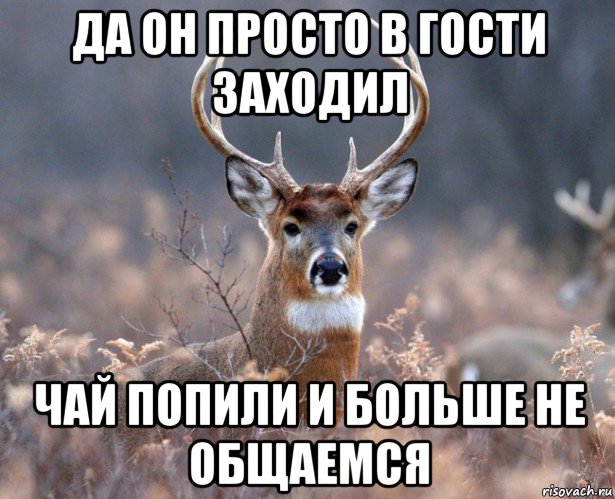 да он просто в гости заходил чай попили и больше не общаемся, Мем   Наивный олень