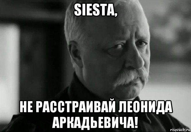 siesta, не расстраивай леонида аркадьевича!, Мем Не расстраивай Леонида Аркадьевича