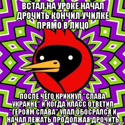 встал на уроке начал дрочить кончил училке прямо в лицо после чего крикнул "слава украине" и когда класс ответил "героям слава" упал обосрался и начал лежать продолжая дрочить, Мем Омская птица