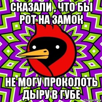 сказали , что бы рот на замок не могу проколоть дыру в губе, Мем Омская птица