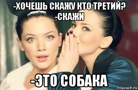 -хочешь скажу кто третий? -скажи -это собака, Мем  Он