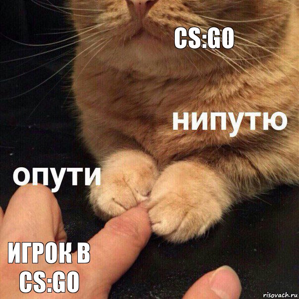 cs:go игрок в cs:go