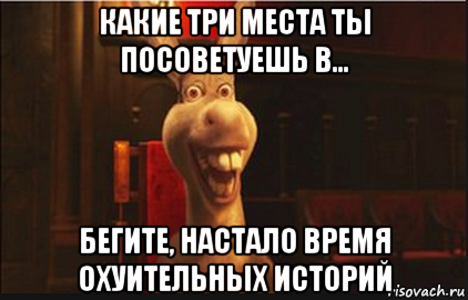 какие три места ты посоветуешь в... бегите, настало время охуительных историй, Мем Осел из Шрека